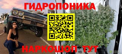 шишки Бугуруслан