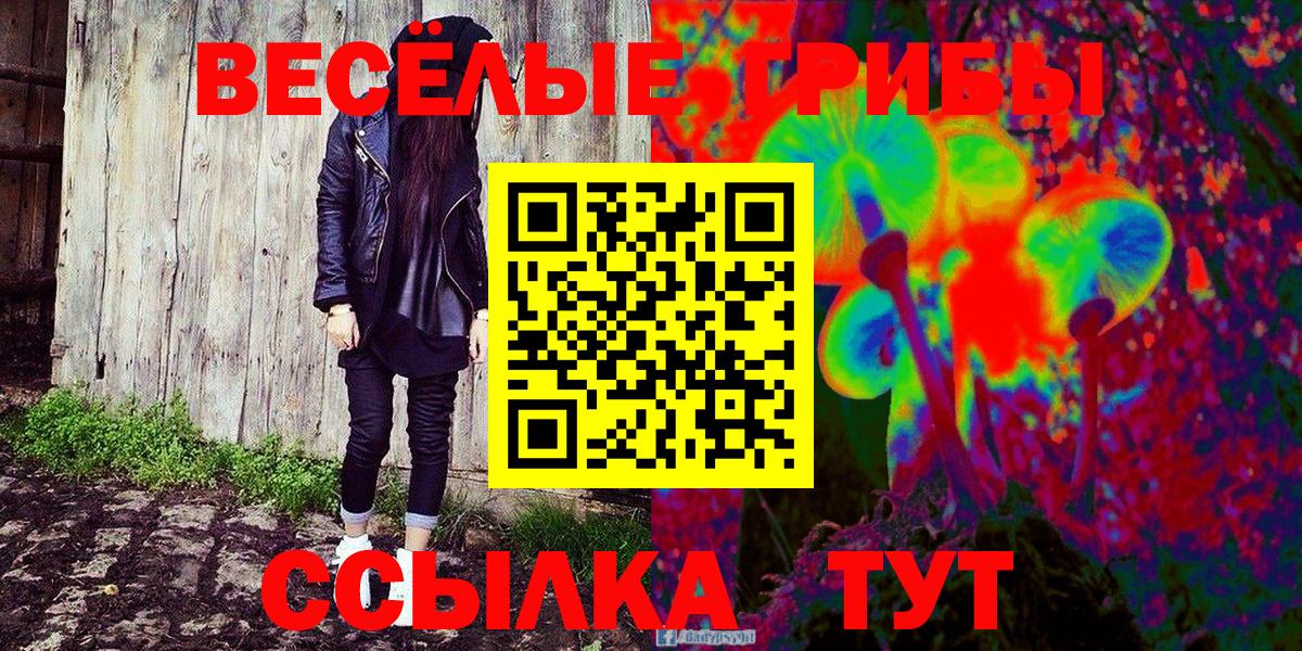 Новозыбков  Псилоцибиновые грибы мицелий  где купить наркоту  Вход с VPN 