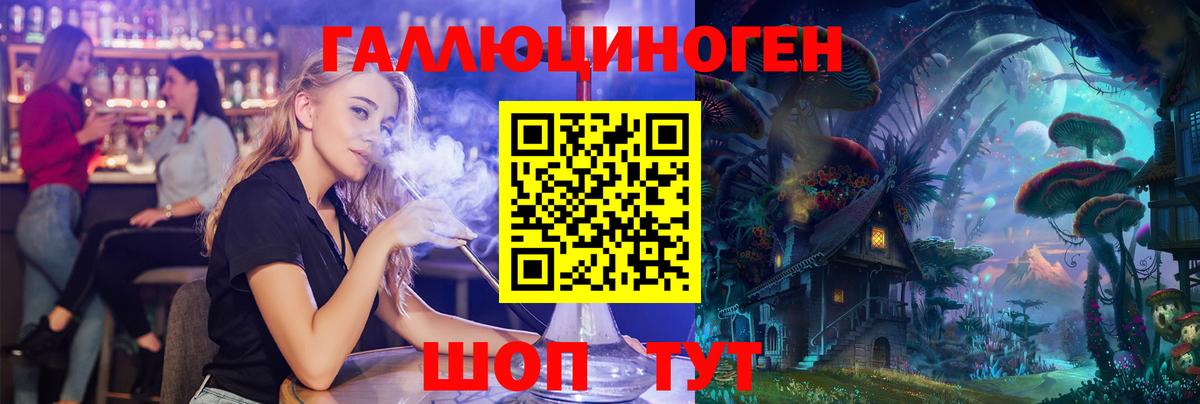 Галлюциногенные грибы Cubensis Новозыбков